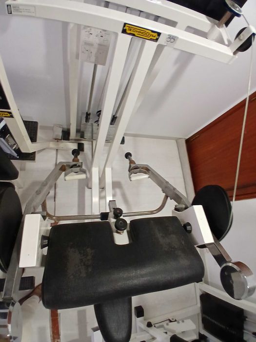 Maquina da technogym Biceps