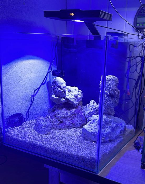 AQUARIO CUBO MARINHO 50x40x40