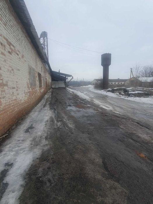 Майновий комплекс по переробці олійних культур