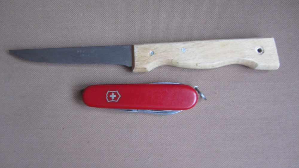 Кухонний ніж Pradel & Victorinox Tinker.