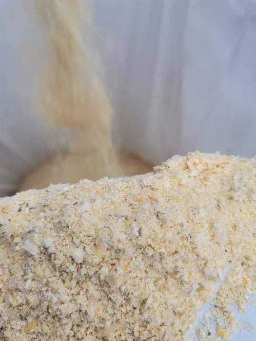 Kukurydza mielona CCM z dostawą