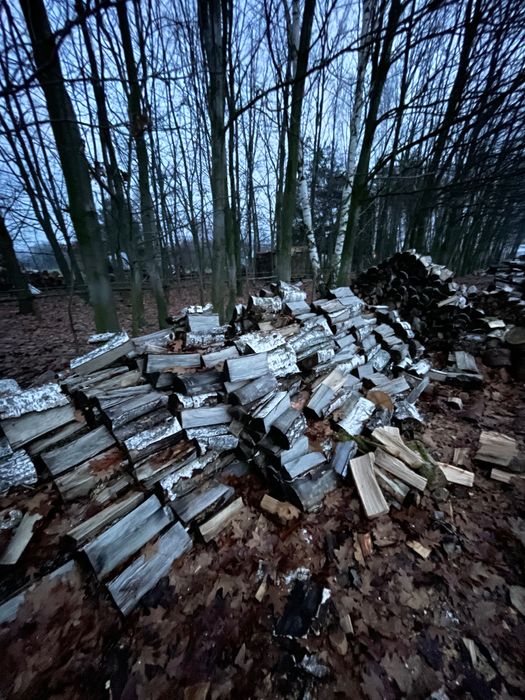 Drewno opałowe brzozowe