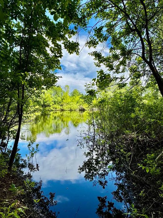 1 Лінія р. Снов! Перспективні земельні ділянки в с. Кобилянка! A11