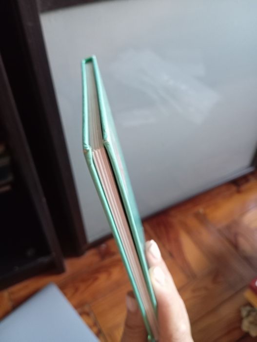 Livro do PNL Ulisses de Maria Alberta Menéres