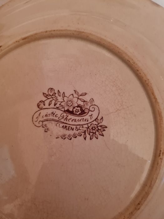 Prato antigo com mais 100anos Asiatic Pheasant