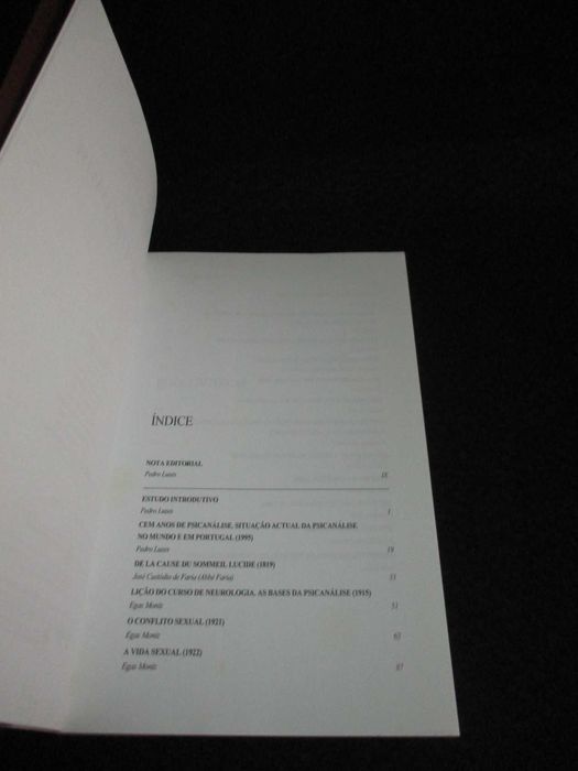Livro Cem Anos de Psicanálise Pedro Luzes 1ª edição 1997