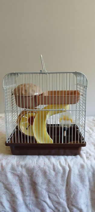 Gaiola para Hamster / Roedores Completa e Equipada (22x25x16) – Barata!