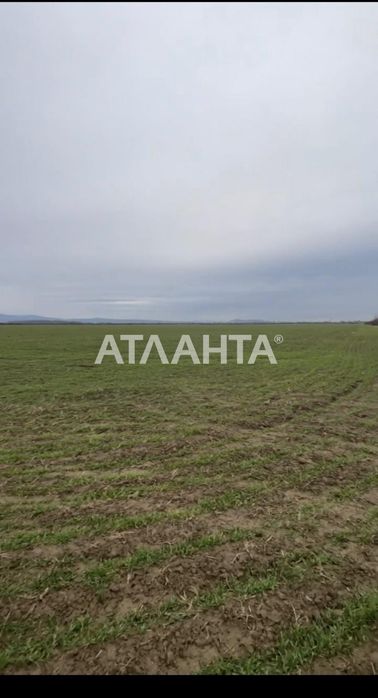 Ділянка в с розівка