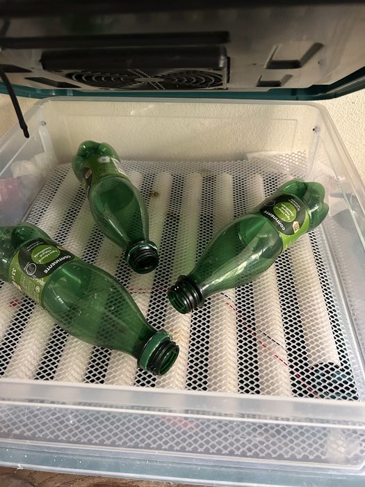 Chocadeira para qualquer tipo de aves