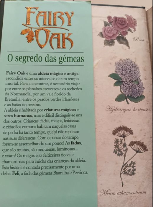 Elisabetta Gnone "Fairy Oak"