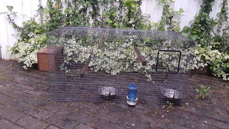 Gaiola para pássaros