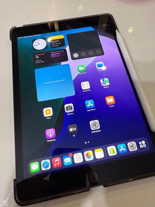iPad + Case + Stylus492194420658677762