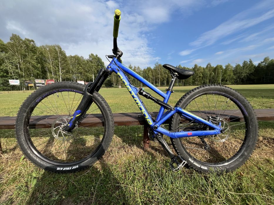 Dartmoor blackbird jr !OKAZJA!