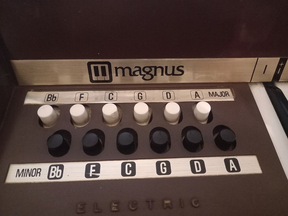 Órgão Magnus II antigo