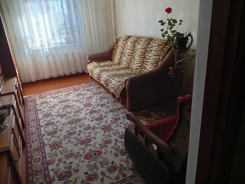 Приватний будинок