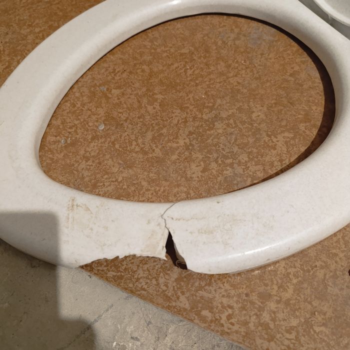 Сидіння для унітазу з дефектом