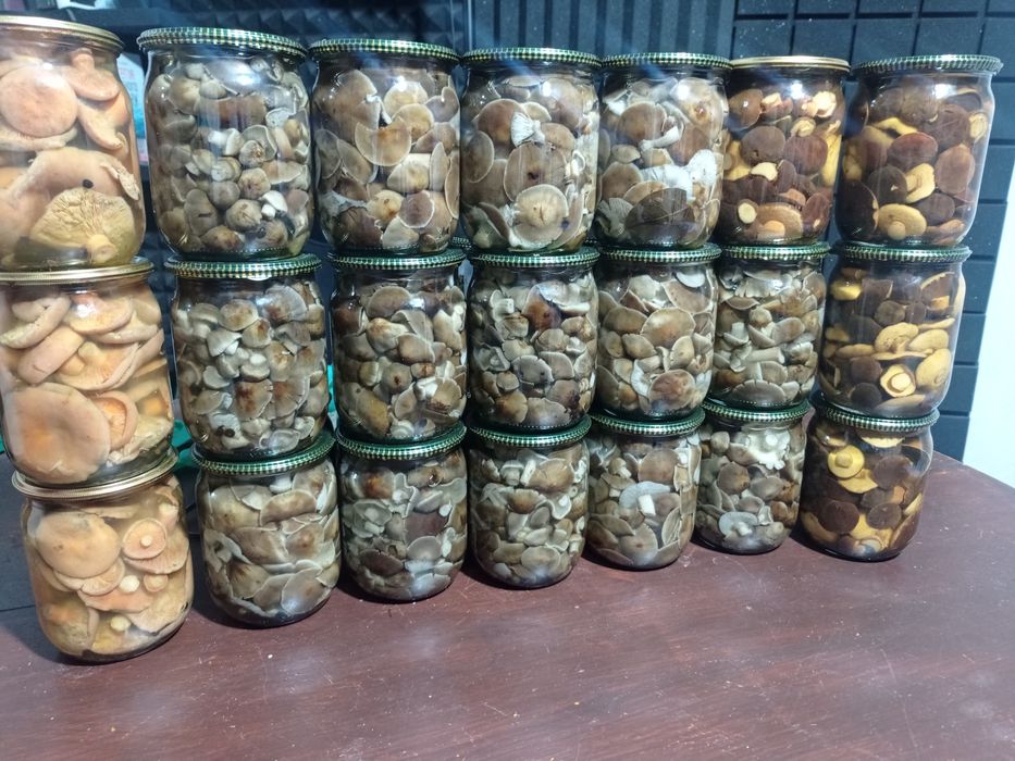 Мариновані опеньки