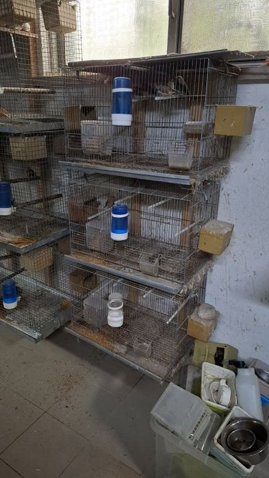 Gaiolas criaçao com ou sem acessórios