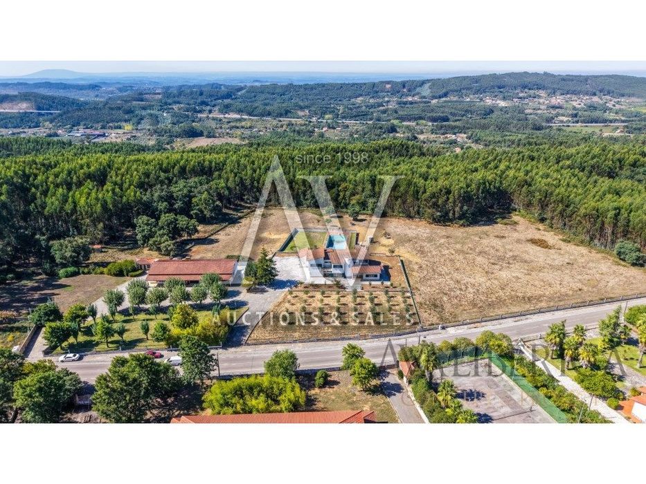 Quinta com 3,14 Hectares e Piscina | Ferreira do Zêzere