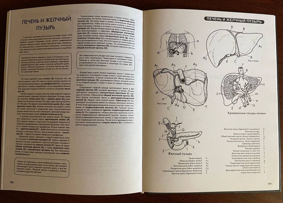 Атлас анатомии человека 

Эдуард Алкамо

Прекрасный атлас, в котором п