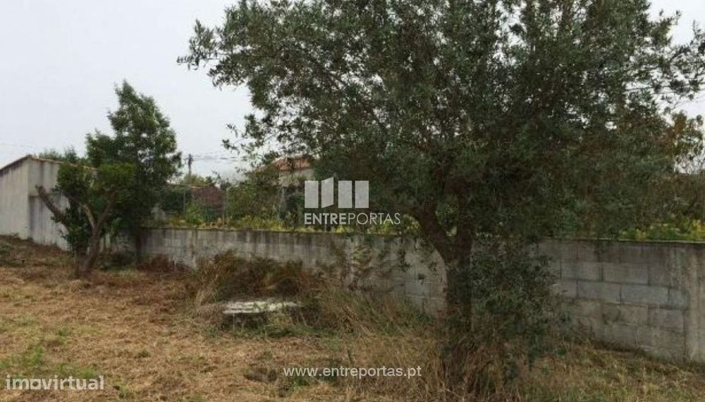Venda de Terreno, Chafé, Viana do Castelo