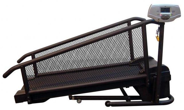 Profesjonalna bieżnia elektryczna taśma dla psów