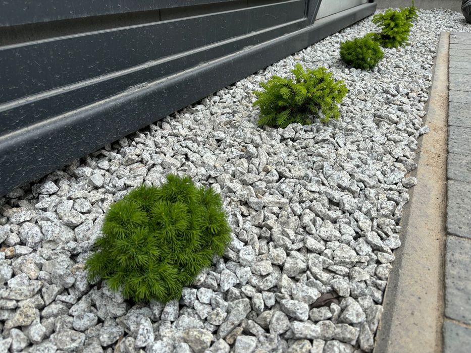 Grys granitowy Dalmatyńczyk - ten właściwy 8-16 & 16-22