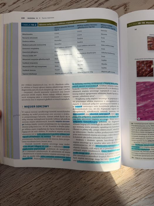 histologia junqueira