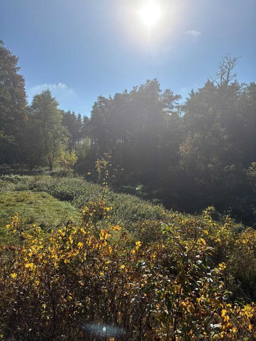 Wyjątkowa działka nad rzeką Wilgą– 29 Arów spokoju i natury, Zaledwie 60 KM OD WARSZAWY! - Widok 2