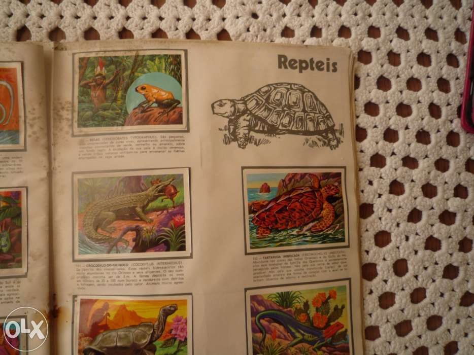 ÁLbum panorama zoológico