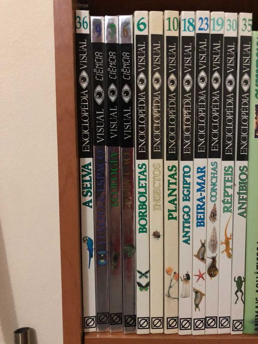 Lote de Livros de Vários Temas