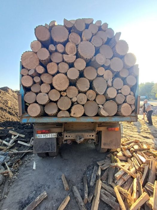 Дрова дубовые, ясень, сосна — оптом и в розницу с доставкой