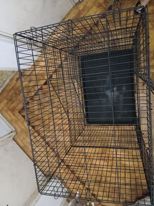 Gaiola para animais