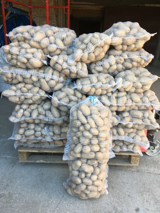 Ziemniaki jadalne Irga, Catania, Sifra, Noya