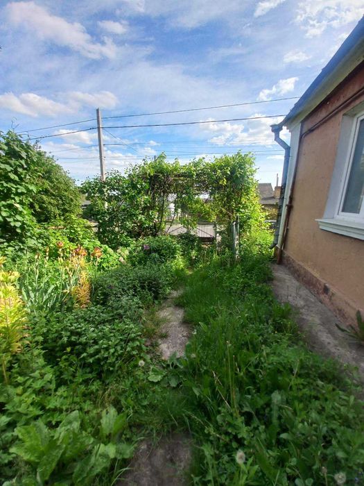 Продам будинок в Новому Дворі. - View 2
