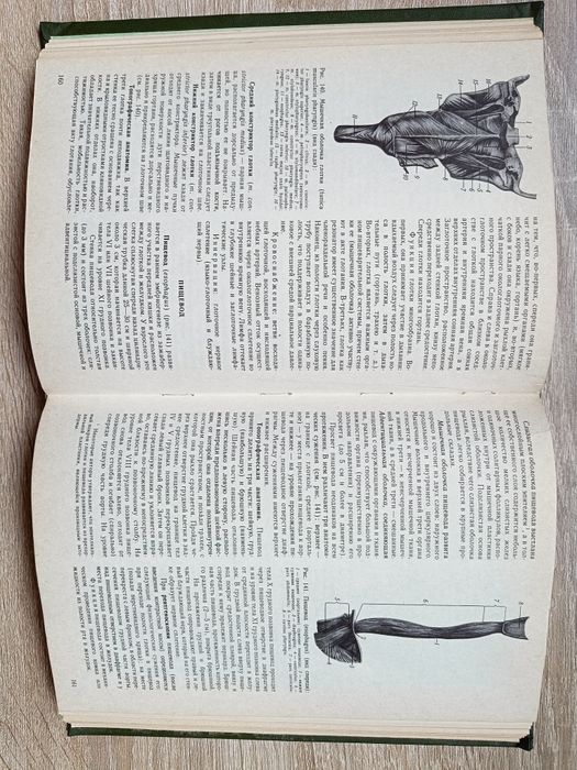 Анатомія людини для студентів вищих навчальних закладів.