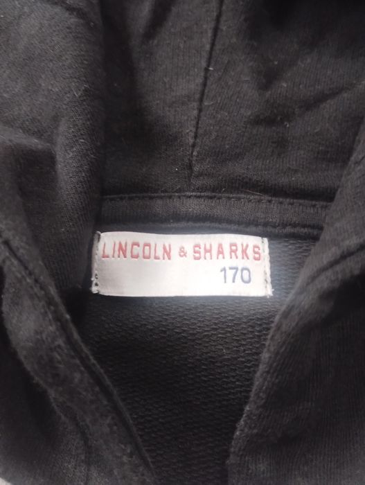Bluza męska Lincoln & Sharks
