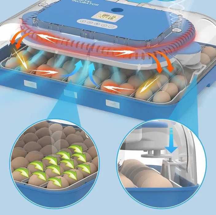 Inkubator do jaj automatyczny z pompą wilgotności OVOstart 70