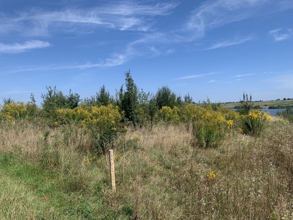 Земельна ділянка під забудову с. Прилбичі