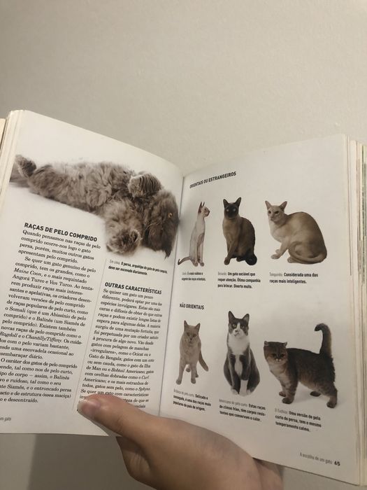 Guia de cuidados com o seu cão/gato