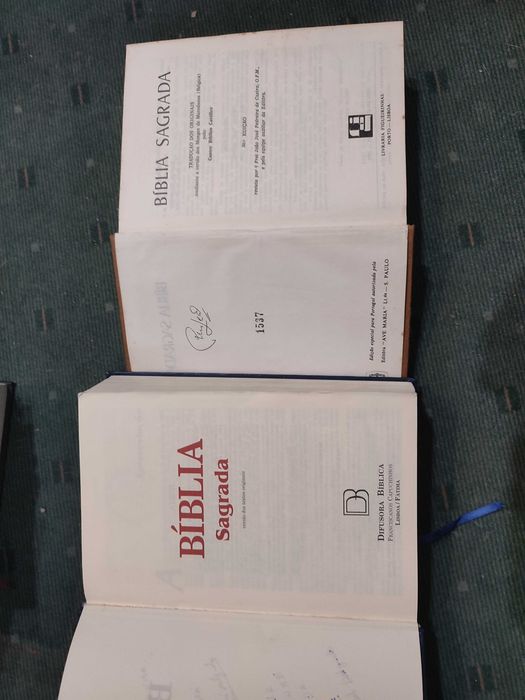Lote 7 Biblias Diferentes Edições