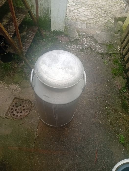 Leiteira ( reservatório para leite)