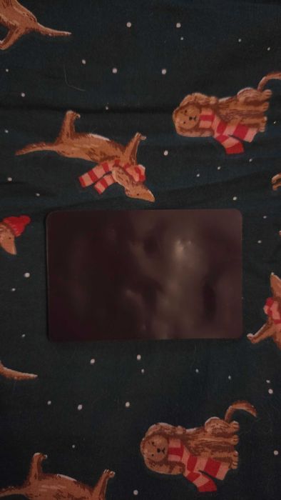 Magnes Tunisia Tunezja wielbłądy