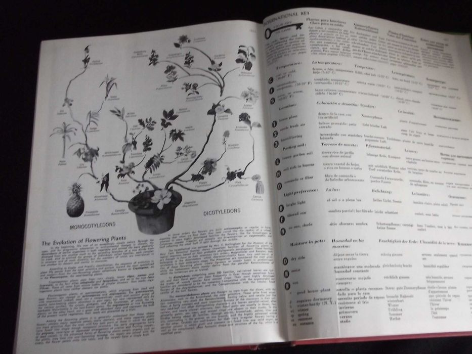 Livro Exotica pictorial cyclopedia edição centenário botânica Plantas