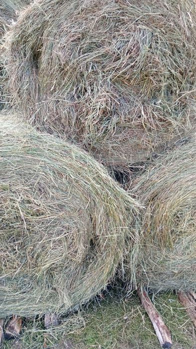 Sprzedam siano w belach