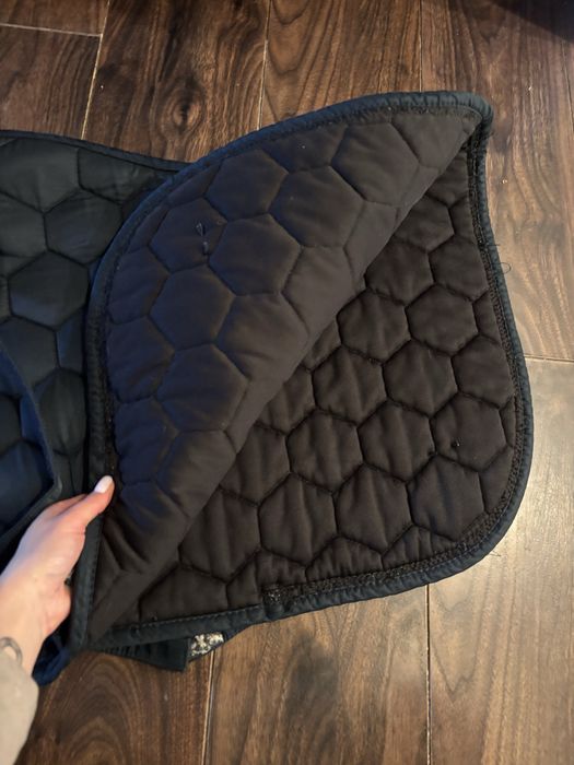 Czaprak granatowy vs