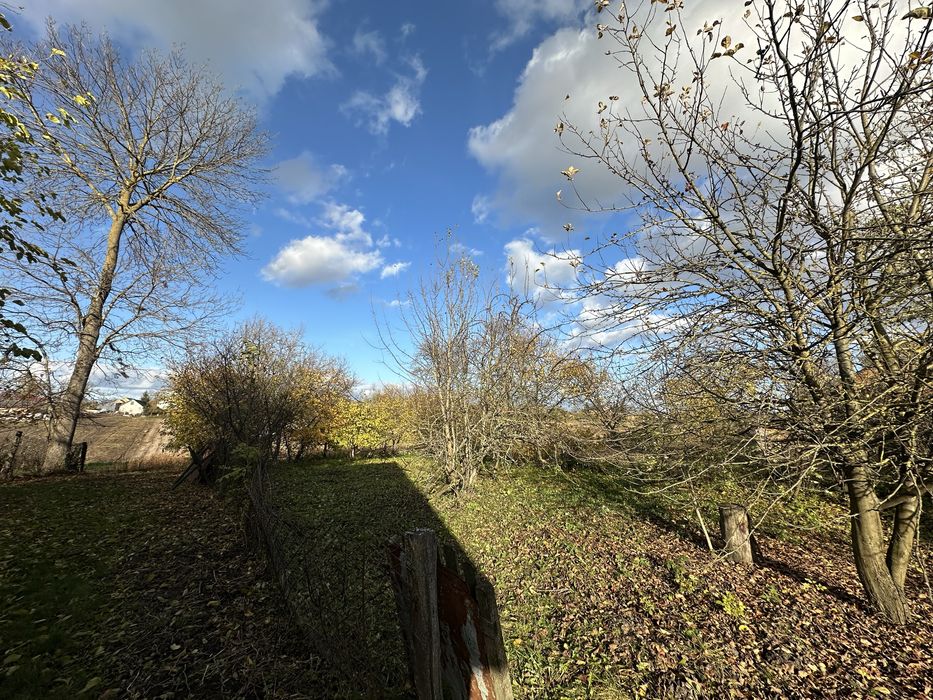 Продається будинок в с. Розношинці (біля м. Збараж) продаж земельна