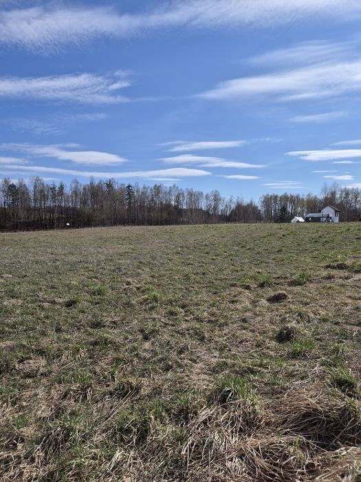 Działka 1295m² Maks (gm. Chmielno)