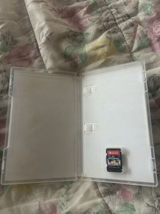 Battle Crashers Nintendo Switch