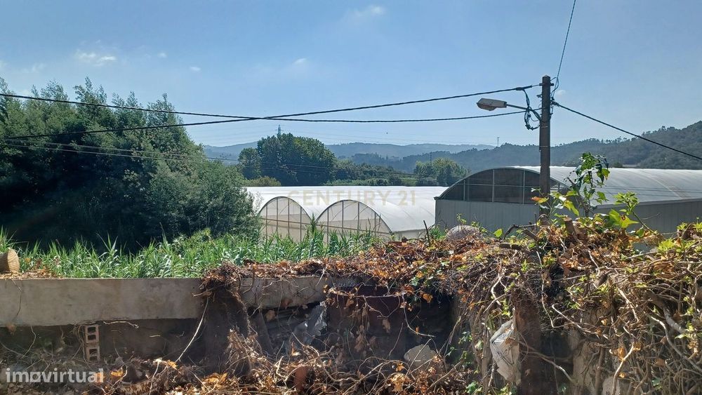 Vendo Quinta em Coimbra